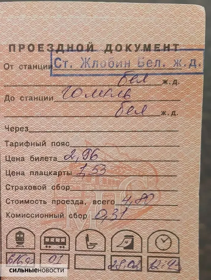 Такой билет выписали жительнице Жлобина, которая ехала до Гомеля. Фото: «Сильные новости»