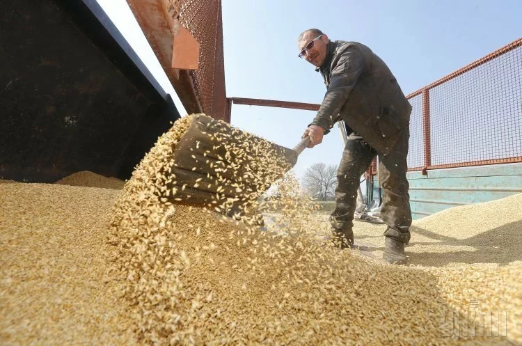 Украина в прошлом году собрала рекордные 107 миллионов тонн зерна, для сравнения Беларусь — только 7 миллионов. Фото: УНИАН
