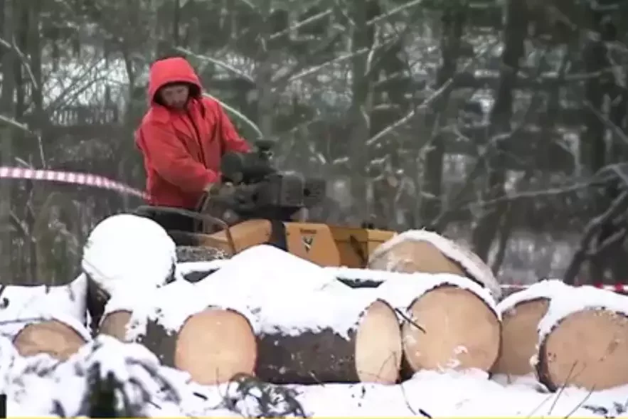 Na skrynie videa śpiłavanyja drevy vonkava vyhladajuć zdarovymi