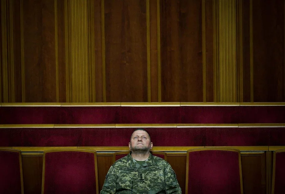 Валерий Залужный. Фото: AP