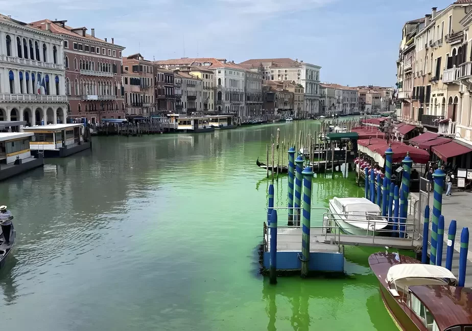 Окрашенная вода в венецианском Гранд-канале. Фото: твиттер президента Венеции Луки Дзая, @zaiapresidente